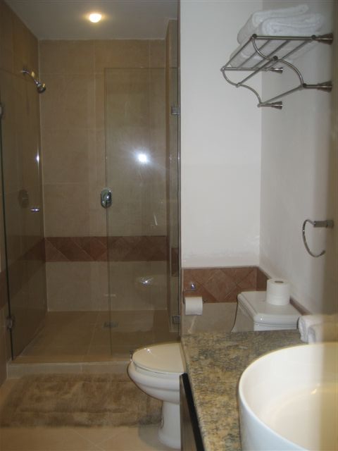 contemporary bath huge shower with frameless doors and fine porcelain tile